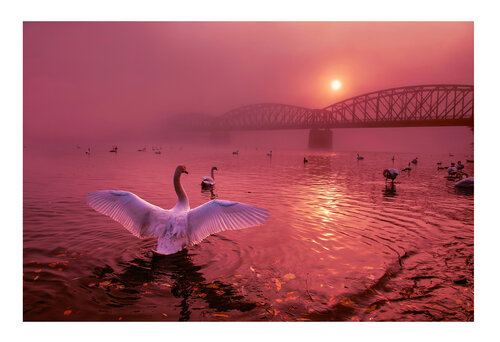 Greeting the Sun 70 x 100 cm / 28 x 40  in / ( remains just 11 from 13 pieces ) van Peter Cech, Fotografie te koop op Singulart