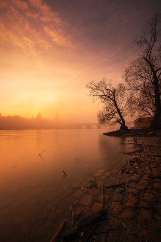 Foggy morning by river Vltava   70x100 cm van Peter Cech, Fotografie te koop op Singulart