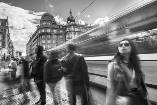 conceited  70x100 cm Peter Cech