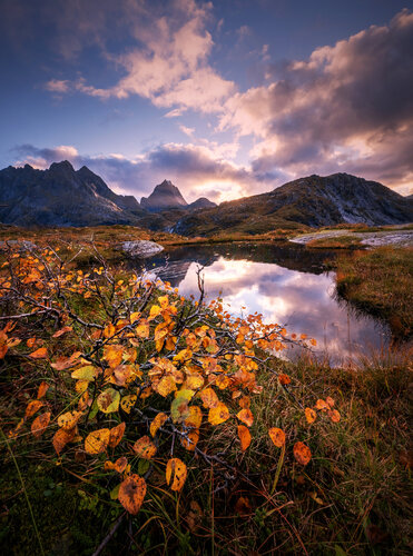 Autumn tale from Lofoten mountain II 60x90 cm van Peter Cech, Fotografie te koop op Singulart
