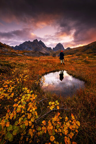 Autumn colors at Lofoten 60x90 cm van Peter Cech, Fotografie te koop op Singulart