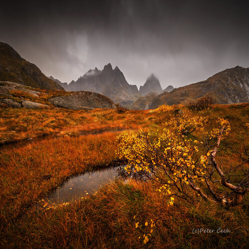 Darkness in  mountain in Norway   80x80 cm van Peter Cech, Fotografie te koop op Singulart