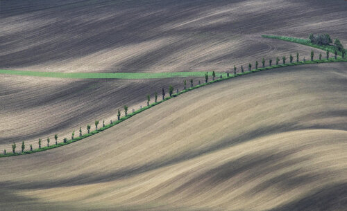 Waves 60x90 cm di Peter Cech, Fotografia in vendita su Singulart