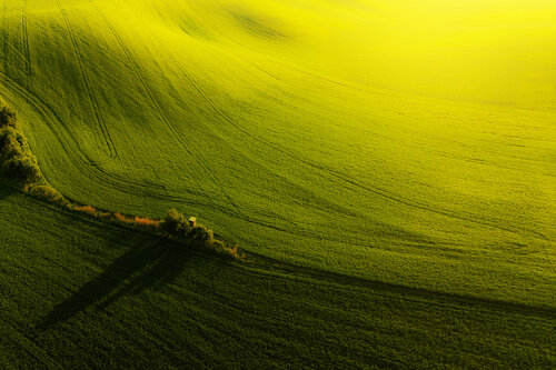 Moravian Gold 70x100 cm by Peter Cech, Photography for Sale on Singulart