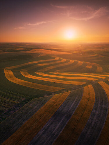 Moravian zebra  II  70x100 cm by Peter Cech, Photography for Sale on Singulart