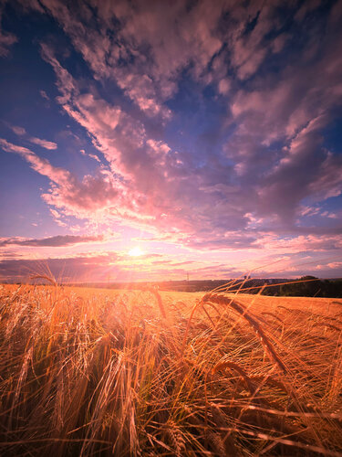 Summer dream   60x90 cm by Peter Cech, Photography for Sale on Singulart