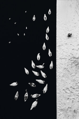 Dance of birds I    90x60 cm di Peter Cech, Fotografia in vendita su Singulart