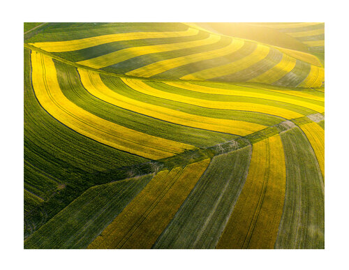 Moravian dream  70x100 cm di Peter Cech, Fotografia in vendita su Singulart