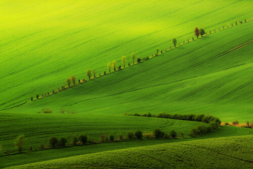 Green Tale from Moravia 80x120 cm van Peter Cech, Fotografie te koop op Singulart