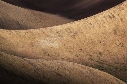 Waves of desert 70x100 cm de Peter Cech, Fotografía a la venta en Singulart