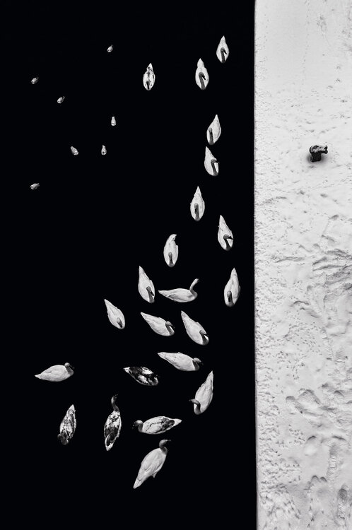 Dance of birds I    150x100 cm  + gift luxury book city of hundred spires 2024 Peter Cech