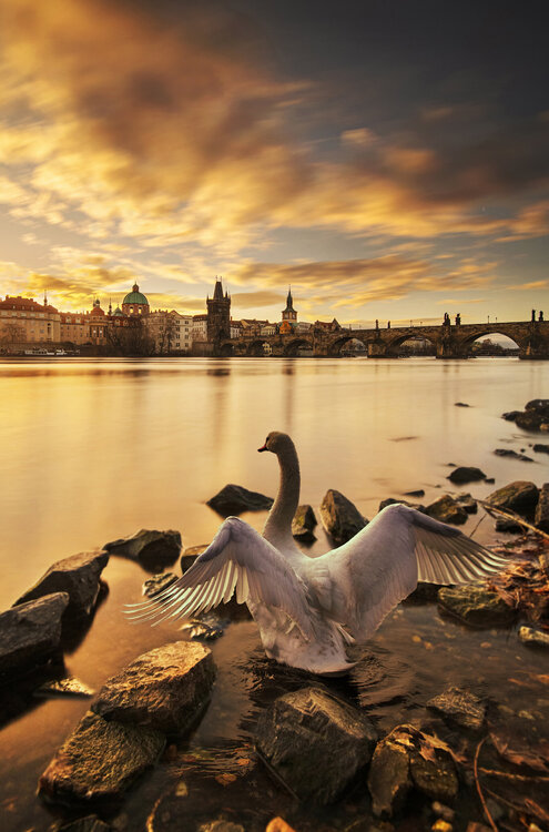 Hope for a new day  90x60 cm Peter Cech