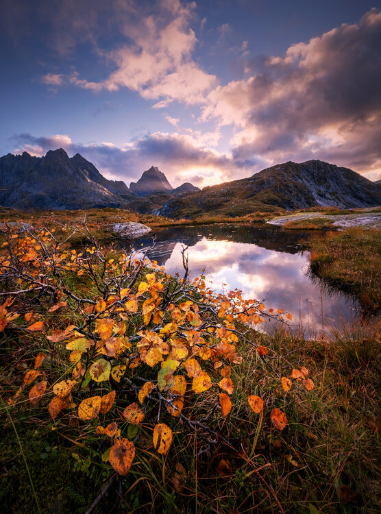 Autumn tale from Lofoten mountain II 60x90 cm Peter Cech