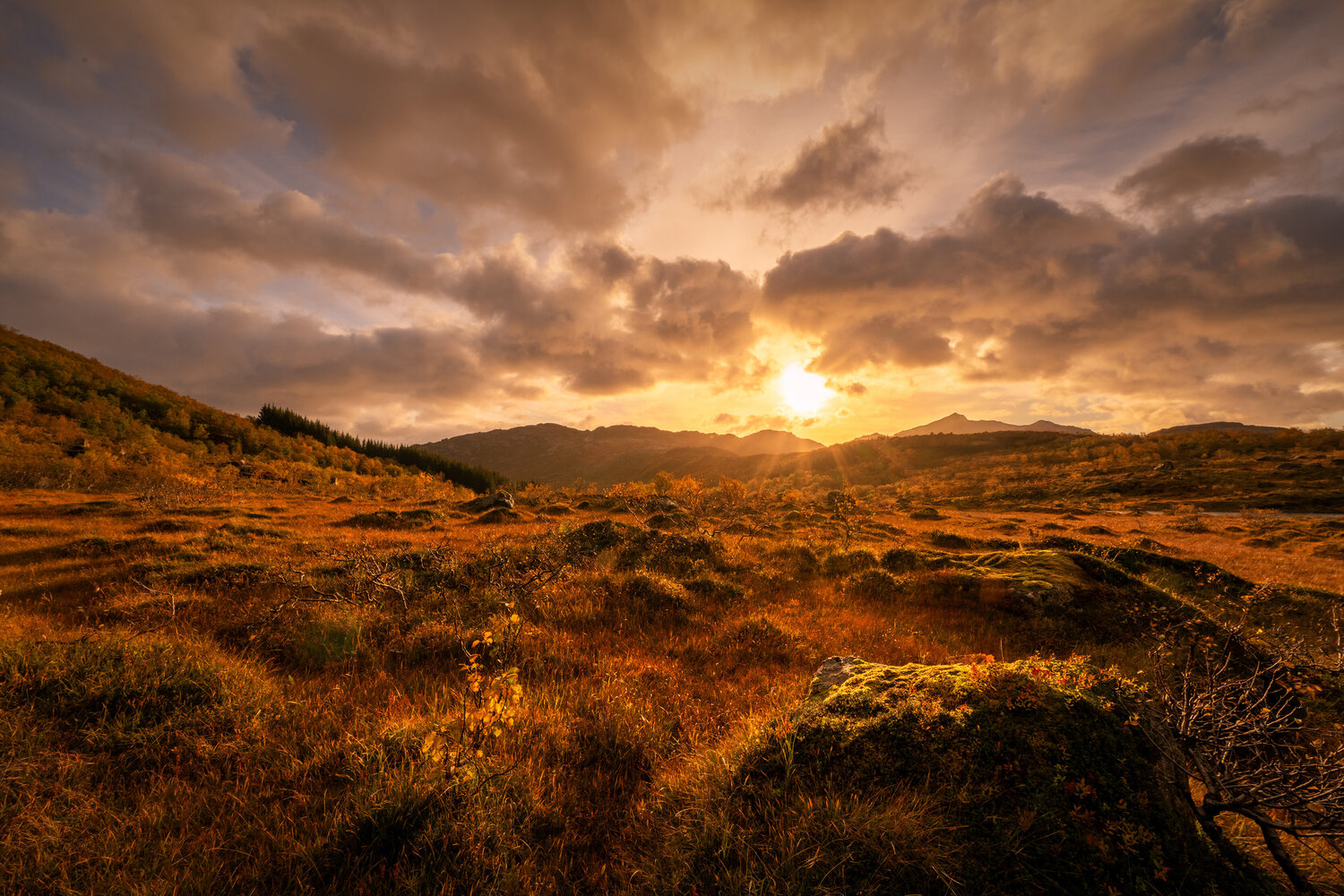 Sunny dream from Norway I.  60x90 cm Peter Cech