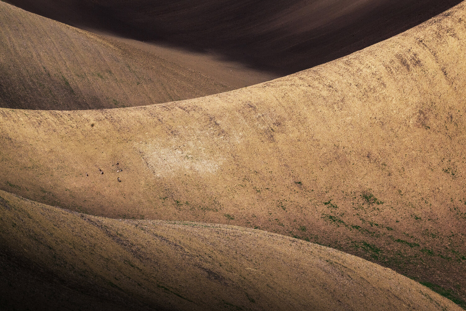 Waves of desert 70x100 cm Peter Cech Fotografía en venta