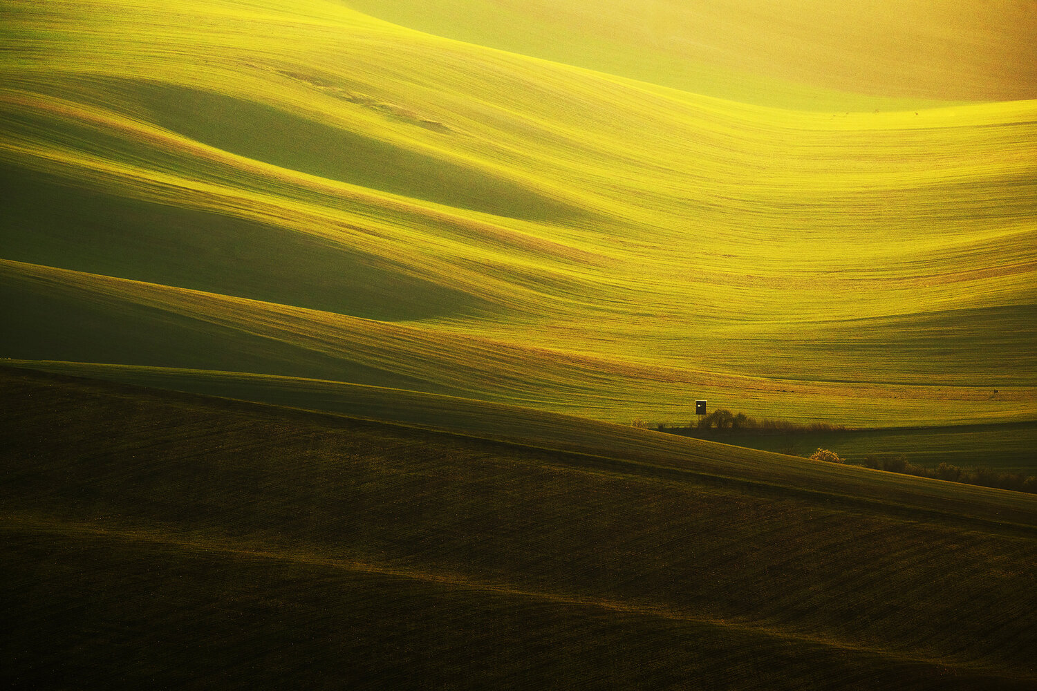Golden wave 70x100 cm Peter Cech Photography for sale
