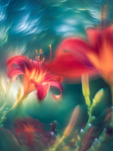 Anmut im Tanz des Lichts von Christina Lourenco, Fotografie kaufen auf Singulart