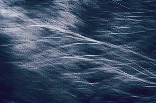 Winterstille by Christina Lourenco, 사진 for Sale on Singulart