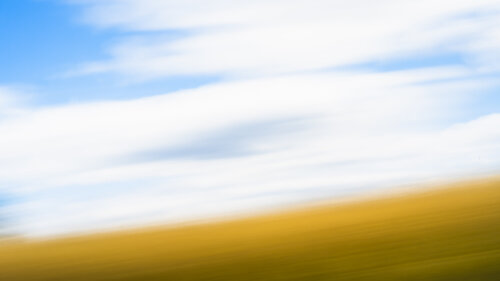 Kornfeld de Christina Lourenco, Fotografía a la venta en Singulart