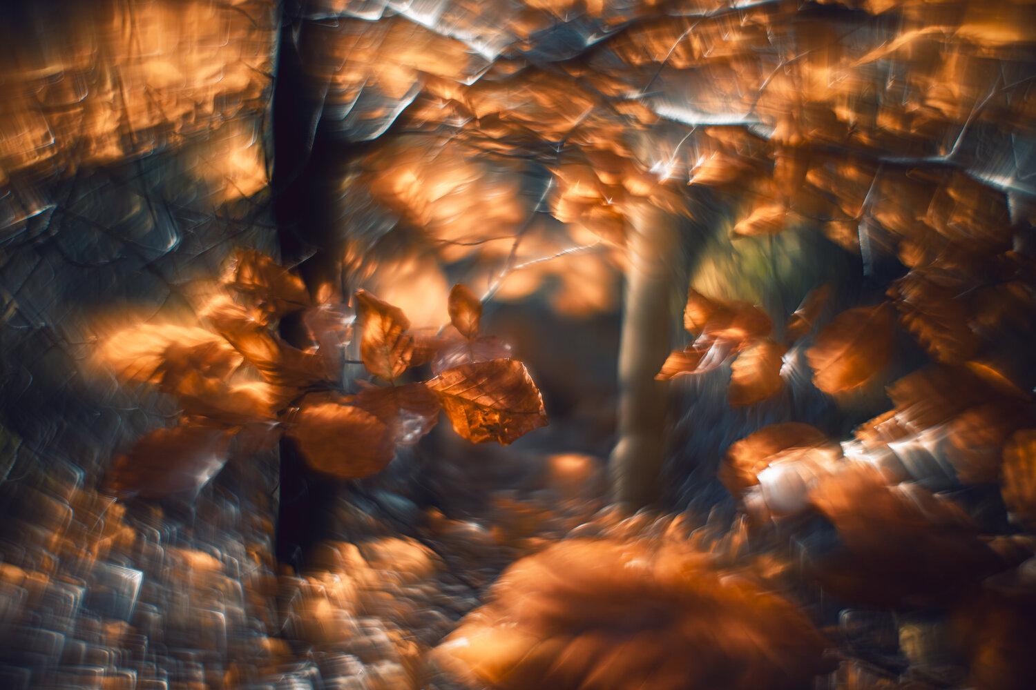 Glanzvoller Herbst II Christina Lourenco