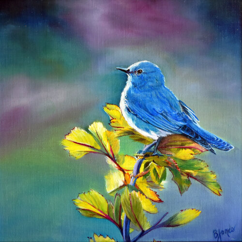 Mountain Bluebird de Bobbe Jones, Pintura a la venta en Singulart