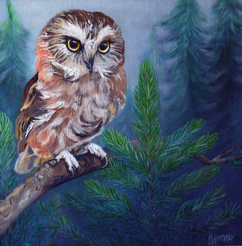 Whimsical Watcher, Northern Saw-whet Owl de Bobbe Jones, Pintura a la venta en Singulart