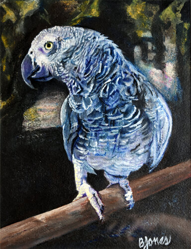 Feathers and Dreams: an African Gray von Bobbe Jones, Malerei kaufen auf Singulart