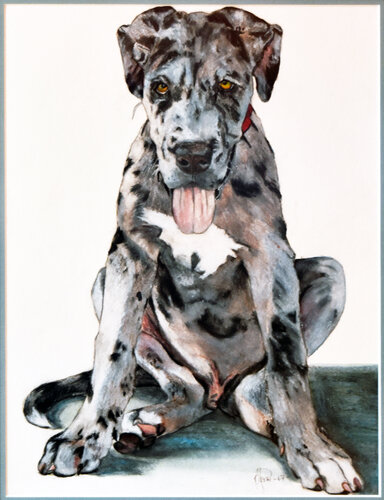 Blue. Great Dane Puppy by Bobbe Jones, 종이 for Sale on Singulart