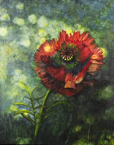 Poppy in the Shade van Bobbe Jones, Schilderij te koop op Singulart