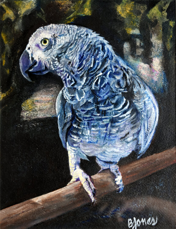 Feathers and Dreams: an African Gray Bobbe Jones