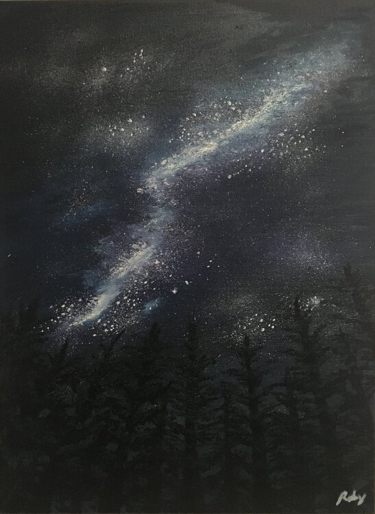 Pini  di notte Roberto Porcella