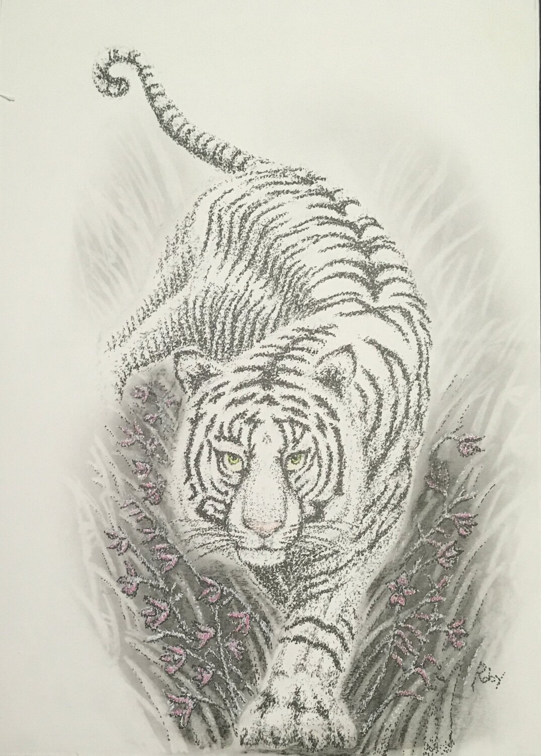 La tigre bianca Roberto Porcella