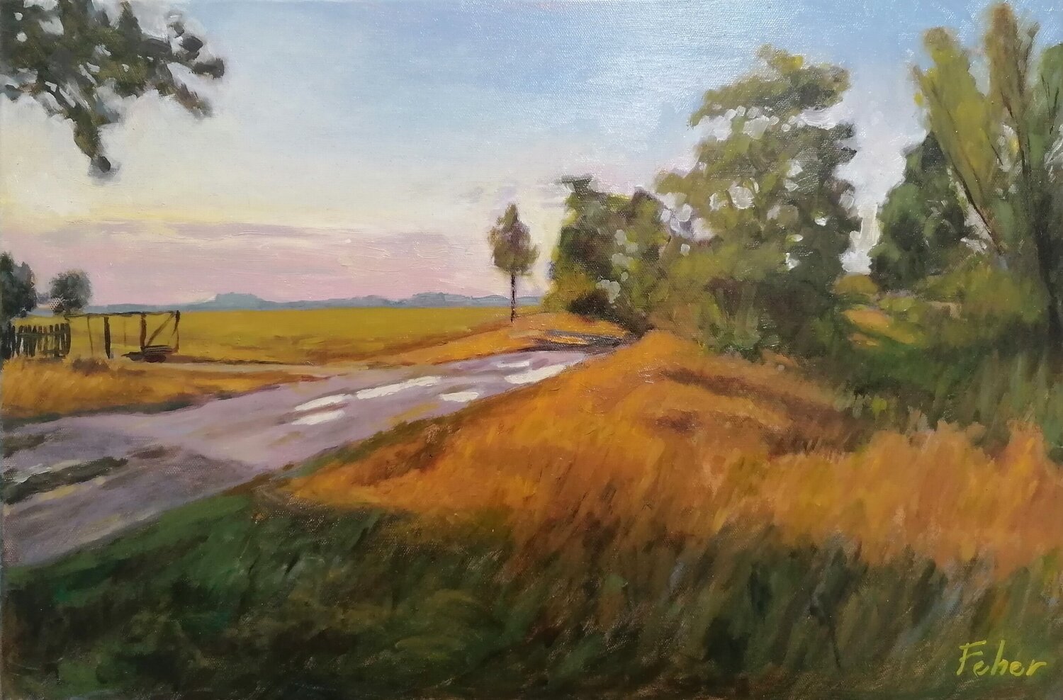 Country Road Balazs Feher