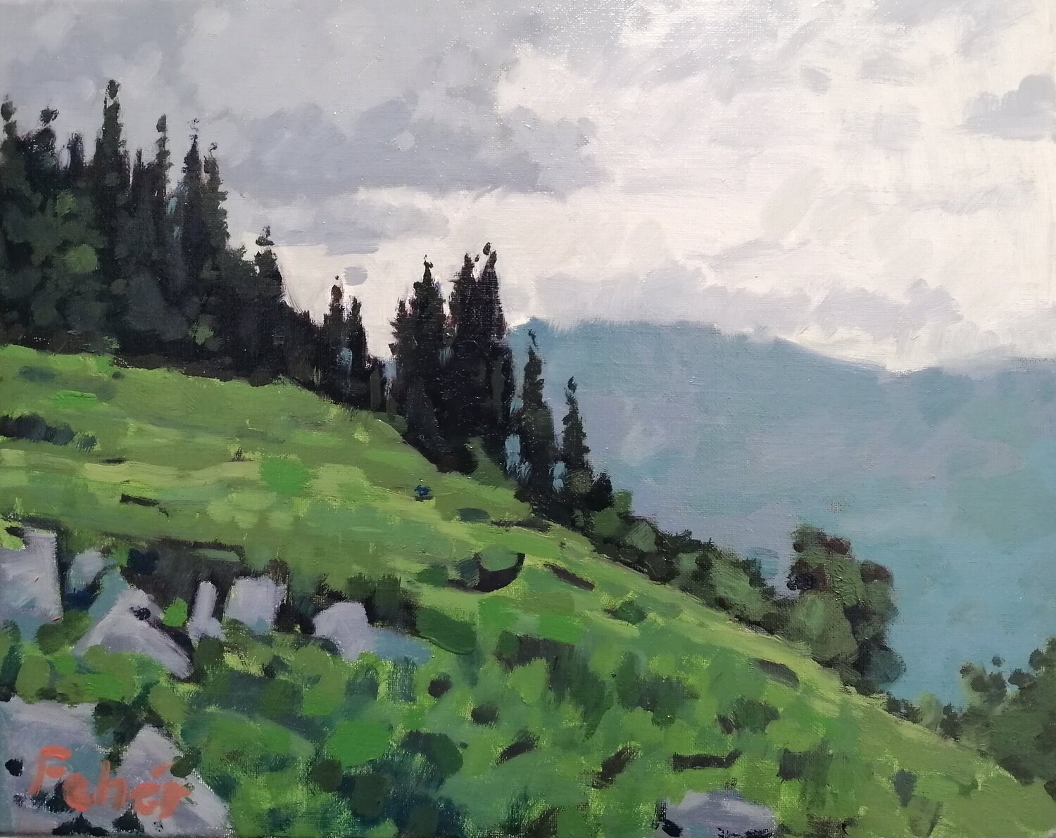 Irish Hill Balazs Feher