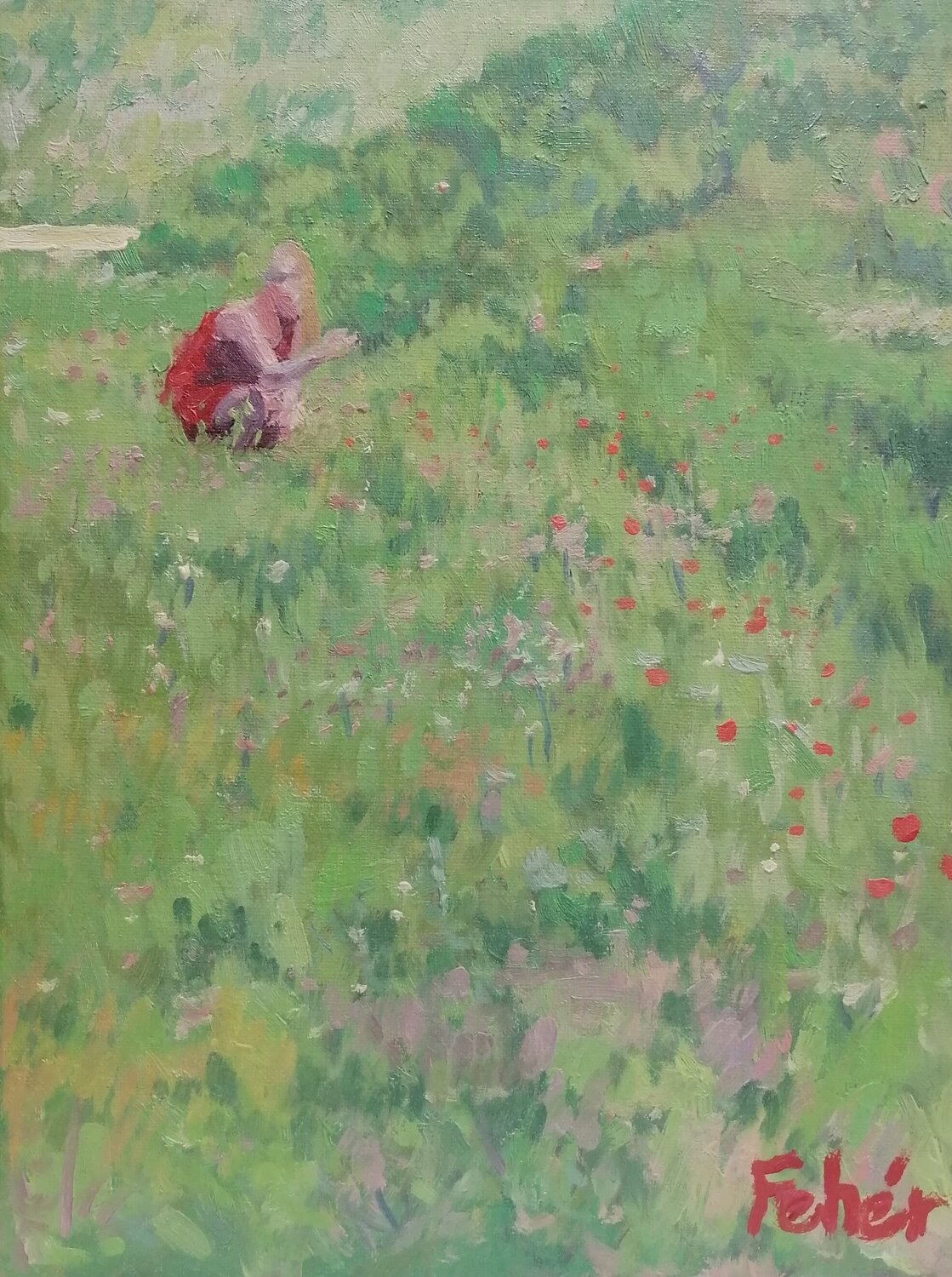 Lady in the field Balazs Feher