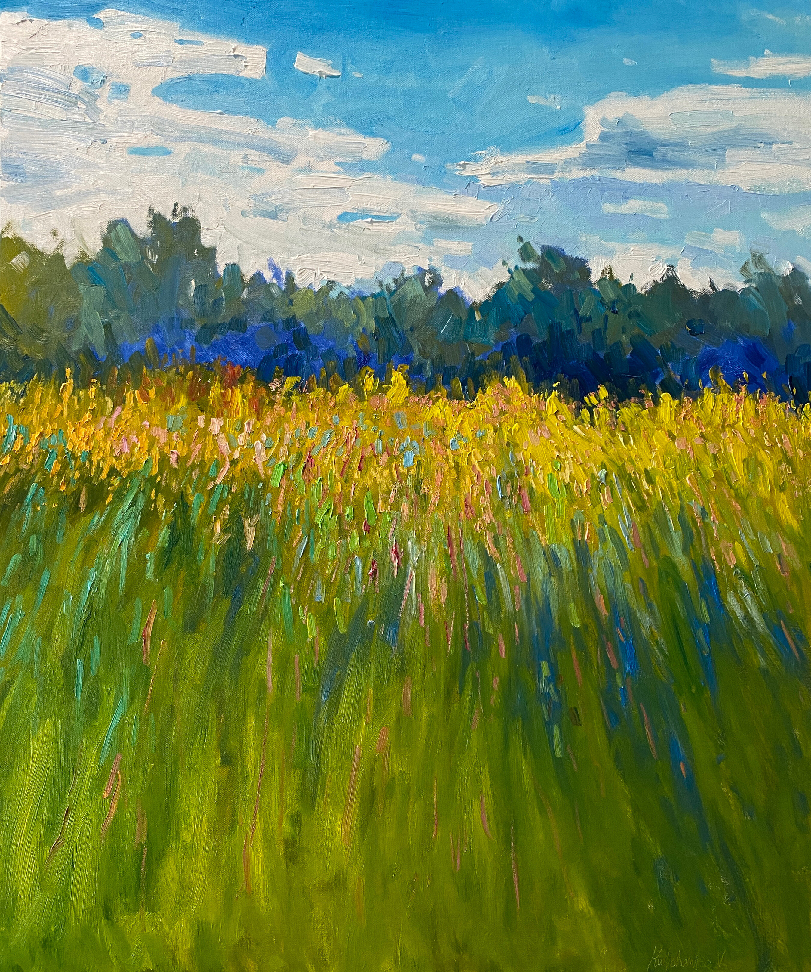 Una gita in campagna