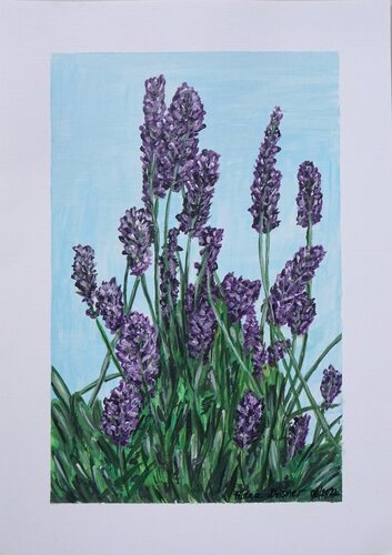 Blühende Lavendel - Blumen im Sommer van Alena Drisner, Schilderij te koop op Singulart