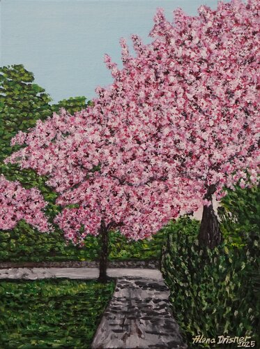 Schöne rosafarbene Kirschblütenzeit by Alena Drisner, 油畫 for Sale on Singulart