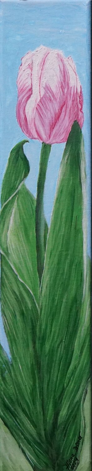 Schöne Tulpe im schmalen Format Alena Drisner