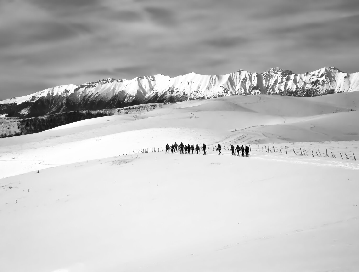 LINES Cecilia Fontanesi