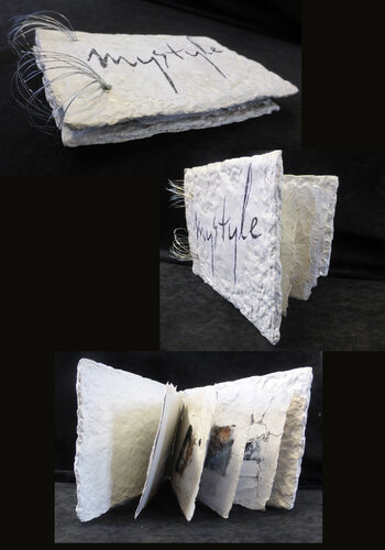 Kunstbuch mit 4 Seiten "elements" par Elisabeth Pötzl, Œuvre sur papier en vente sur Singulart