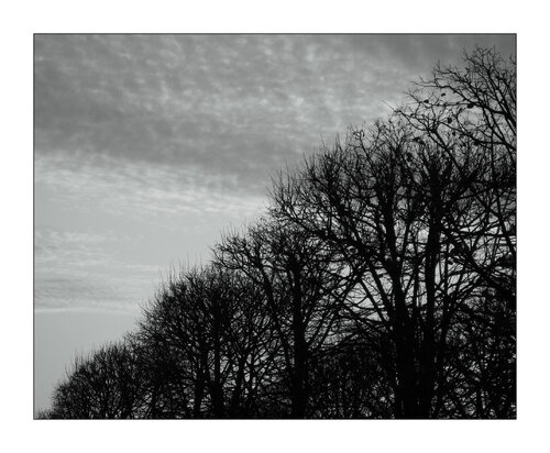 Les Tuileries, Paris di Jean Kempf, Fotografia in vendita su Singulart