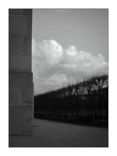Les Tuileries, Paris de Jean Kempf, Fotografía a la venta en Singulart