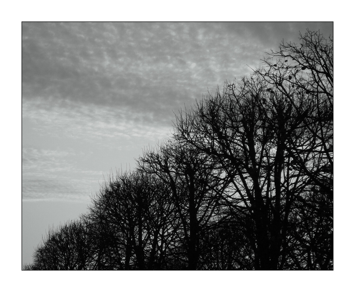 Les Tuileries, Paris Jean Kempf