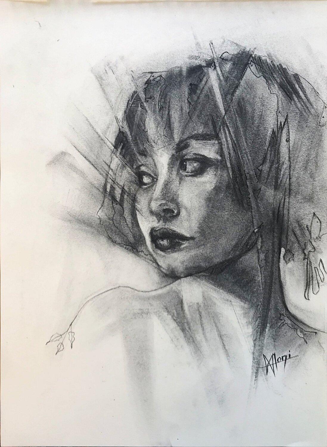 REGARDER LE MONDE Marlène REGAZZONI