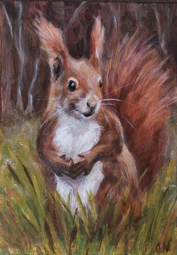 Écureuil joueur (Playful squirrel ) von Olena Noizet, Malerei kaufen auf Singulart