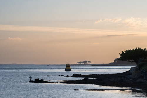 Pastels et Silhouettes von Philippe GUENIN, Fotografie kaufen auf Singulart