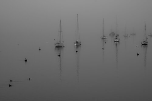 Mettez les Voiles di Philippe GUENIN, Fotografia in vendita su Singulart