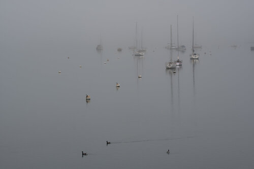 Mouillage Onirique von Philippe GUENIN, Fotografie kaufen auf Singulart