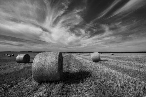 Moissons de Nuées di Philippe GUENIN, Fotografia in vendita su Singulart